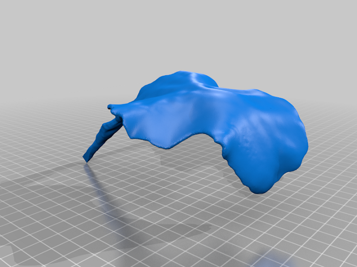 Large display leaf thingiverse 利用 3d 打印甜菜植物改善智能作物育种 - 3d打印行业资讯网