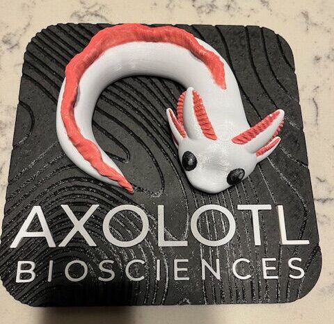 1731967304289 e1732141094889 axolotl biosciences 在 formnext 2024 上将生物技术带到最前沿 - 3d打印行业资讯网