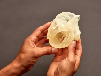 stratasys heart model with hands.webp Axial3D 与 GE HealthCare 合作使用 DICOM 3D 打印医疗模型 - 3D打印行业资讯网