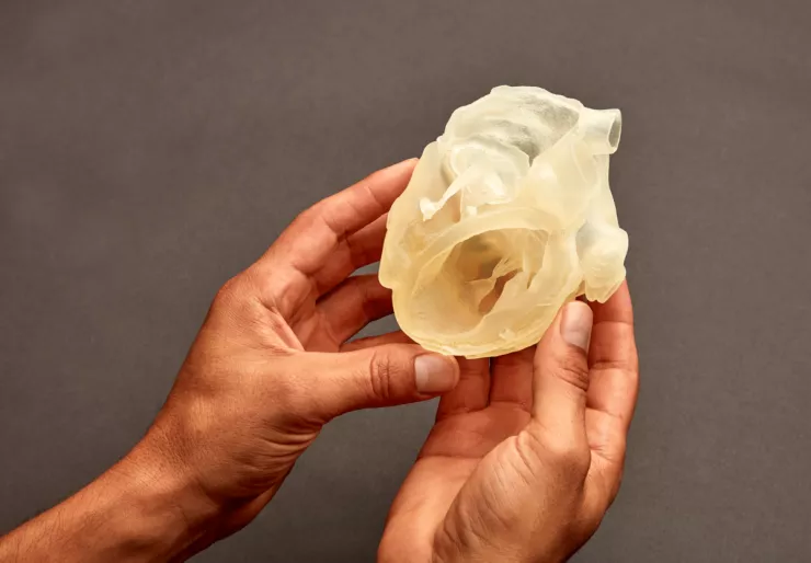 stratasys heart model with hands.webp Axial3D 与 GE HealthCare 合作使用 DICOM 3D 打印医疗模型 - 3D打印行业资讯网