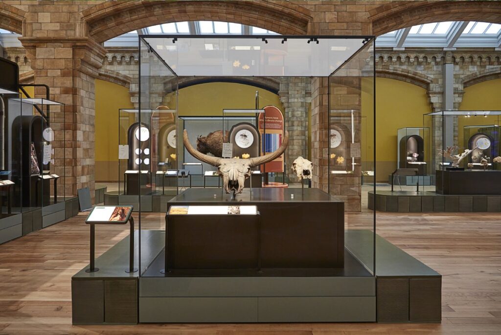 3D打印的陶瓷安装 7 3d printed ceramic exhibitio module The Trustees of the Natural History Museum London 2024 3D打印的陶瓷安装