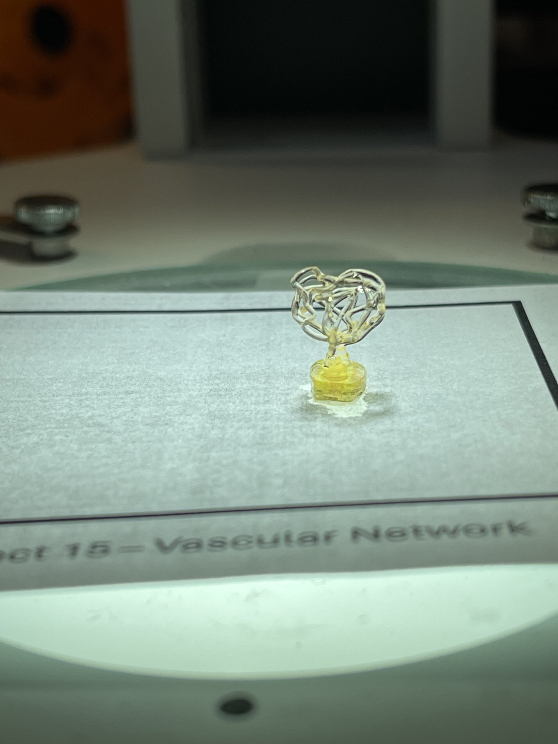 Perfusable Vasculature scaled Auxilium开始了一个人的神经植入物研究，首先是在太空中生物的-3dprint.com