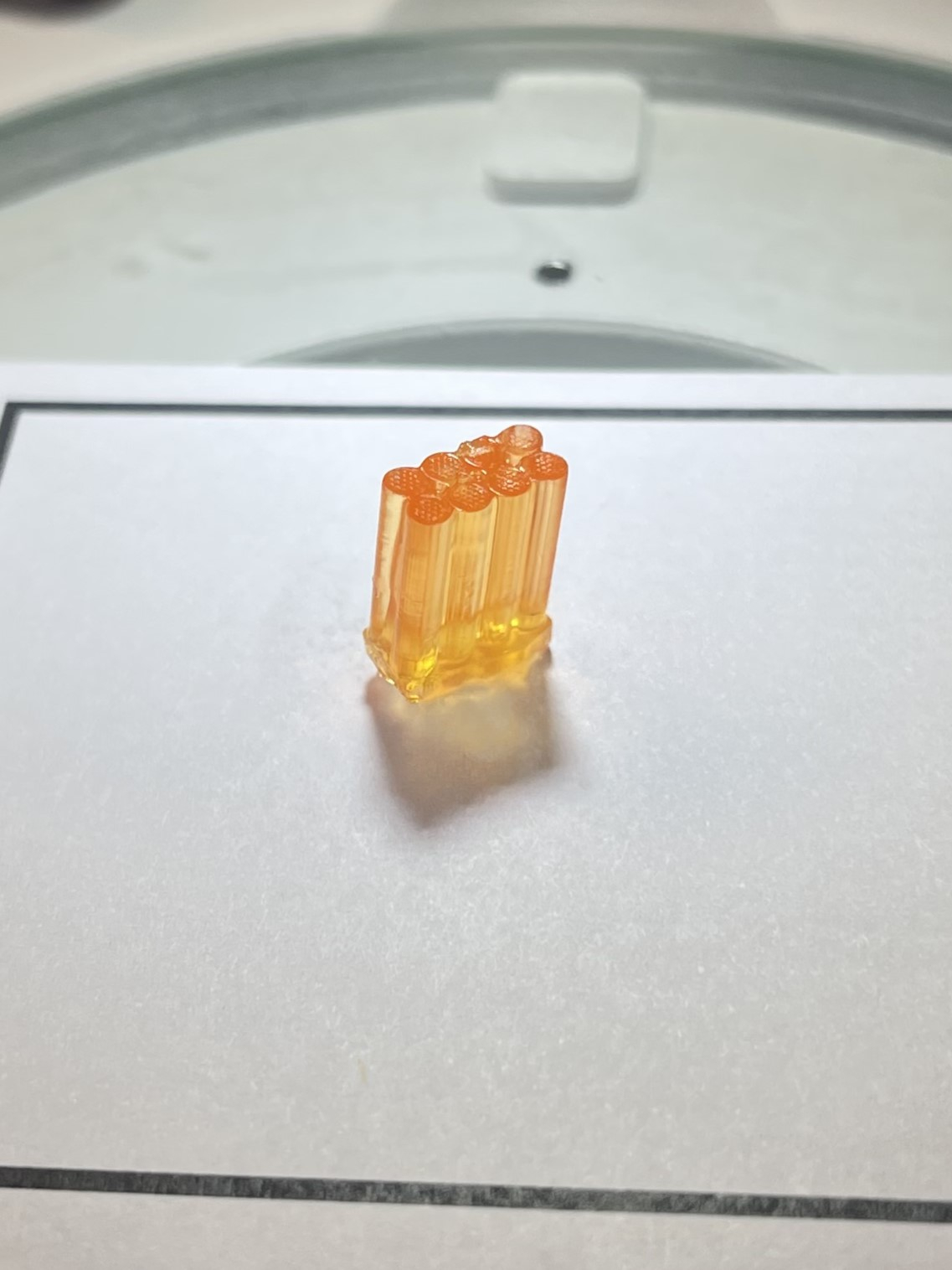 Eight Implants Auxilium开始了一个人的神经植入物研究，首先是在太空中生物的-3dprint.com