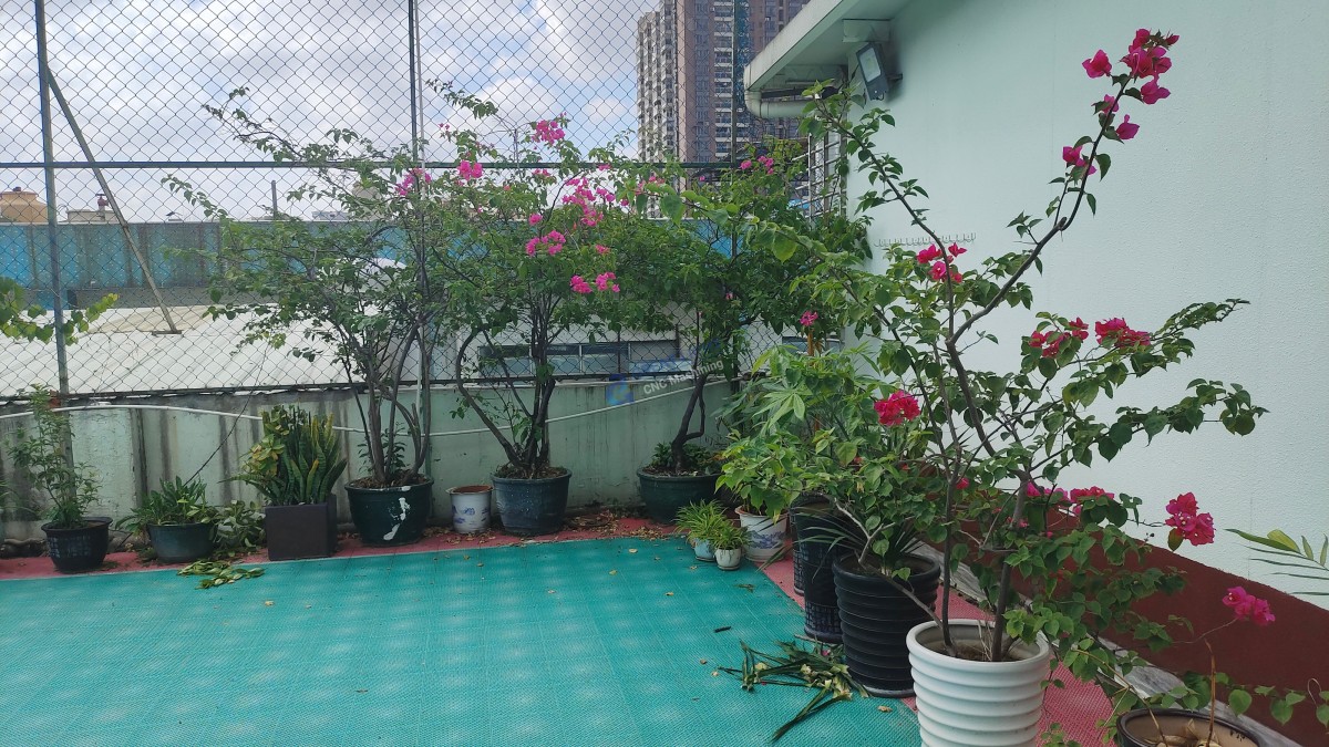 高尔夫数控加工,究竟藏着啥核心秘诀? 1 f19e67b4550897dce79a5e3c173cd093 高尔夫数控加工,究竟藏着啥核心秘诀?